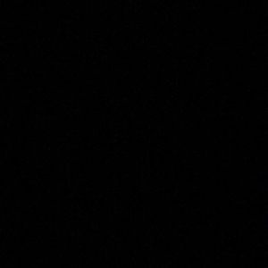 Meet your Posher, Troy